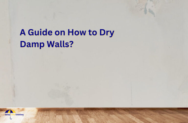 A Guide On How To Dry Damp Walls Damp Dry Solutions