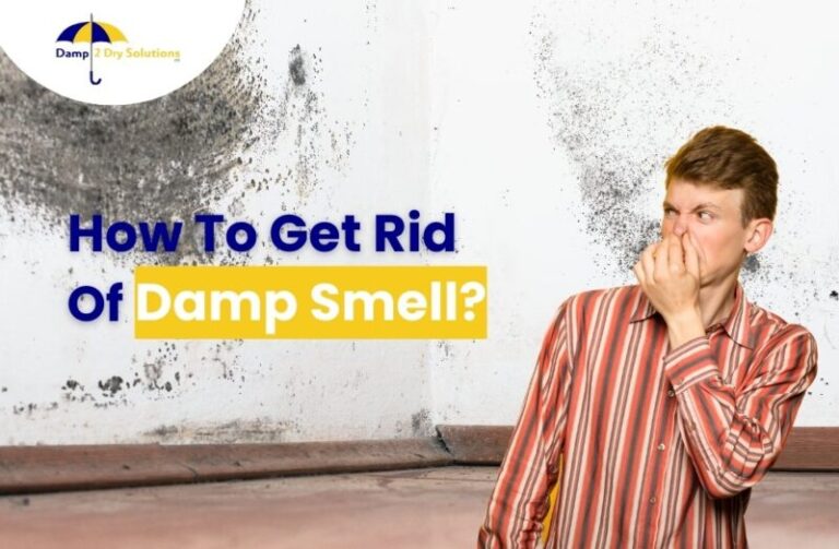 how-to-get-rid-of-damp-smell-damp-2-dry-solutions