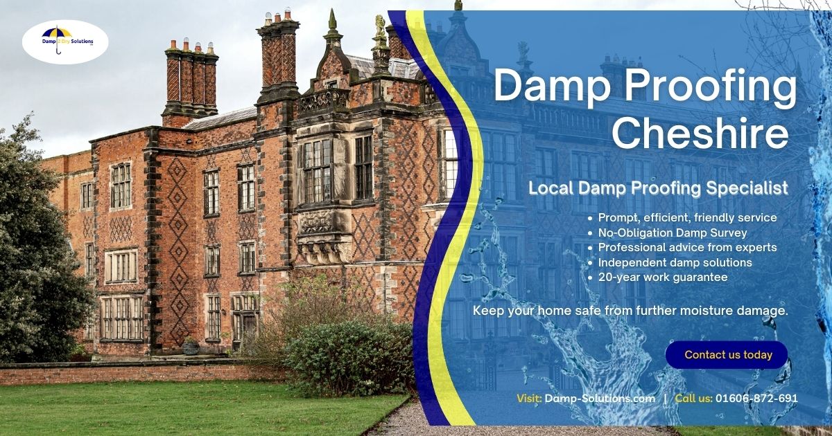 local damp proofing cheshire