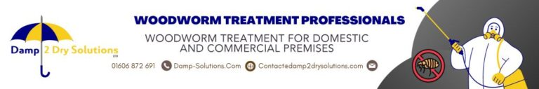 Whether you’re a landlord, homeowner, or commercial property manager, we understand that each client and property is unique. At Damp 2 Dry Solutions, we offer more than just pest control; we provide a guaranteed comprehensive solution. Our experts treat woodworm and investigate and address the damp conditions causing woodworm, insect infestations, and related issues.