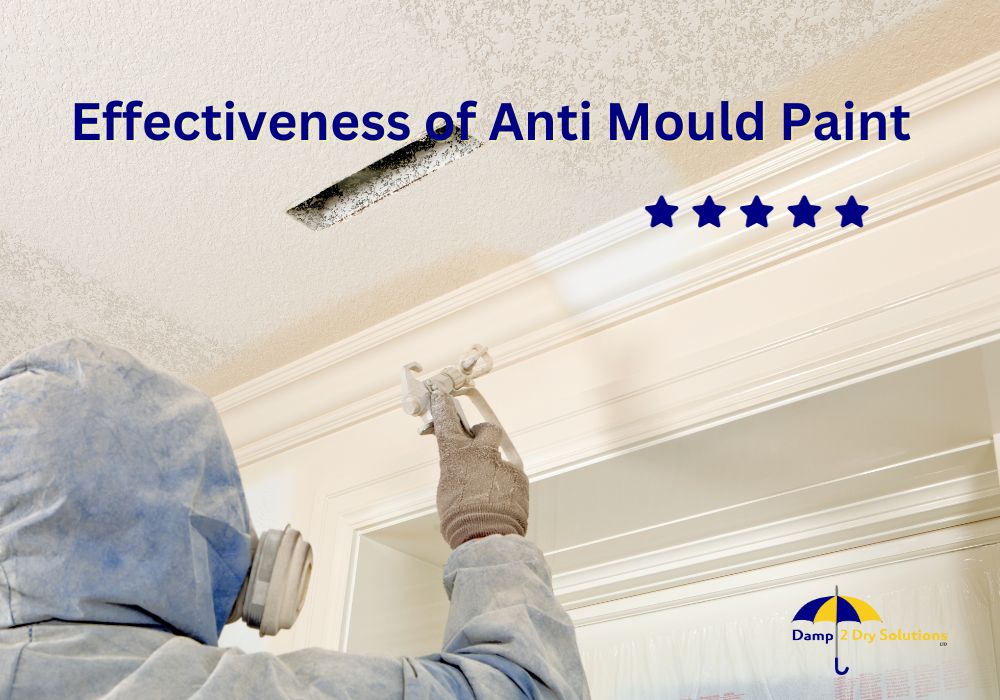Effectiveness of Anti Mould Paint