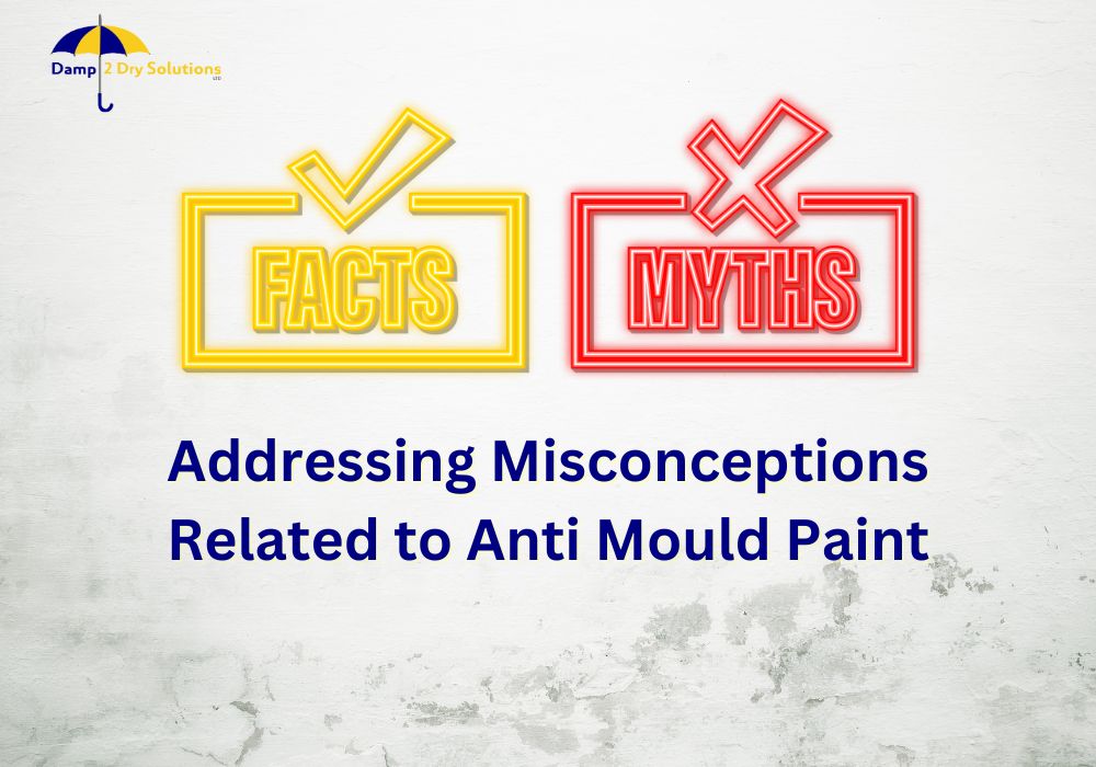 misconceptions related to anti mould paint