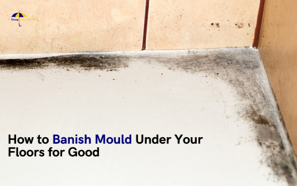 banish mould under your floors for good