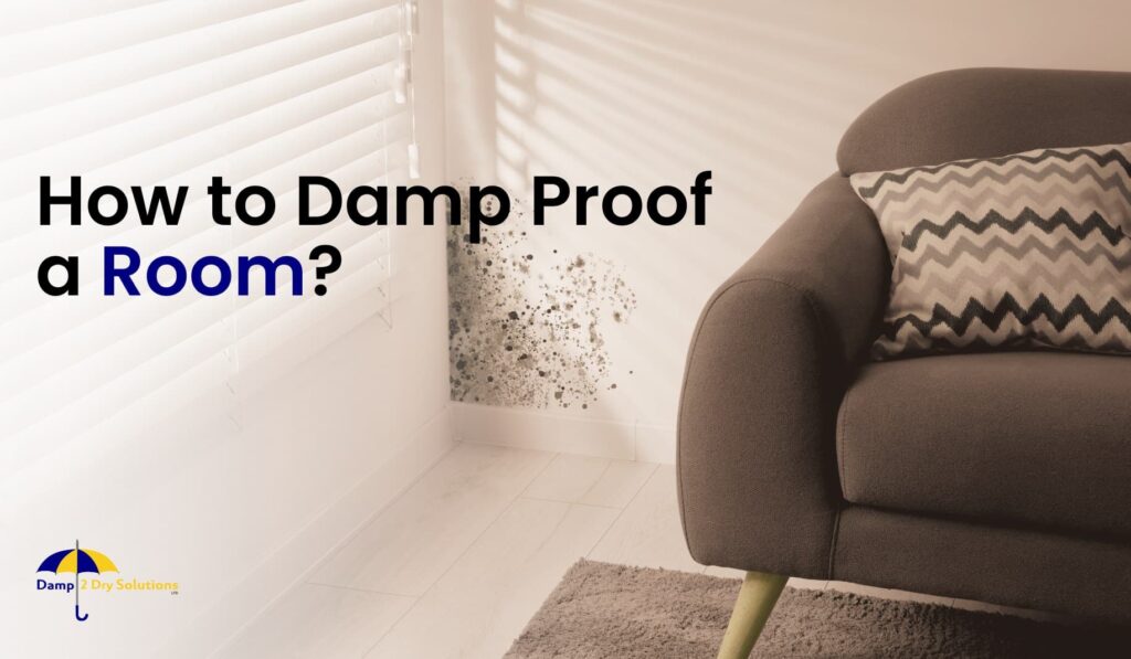 how to damp proof a room