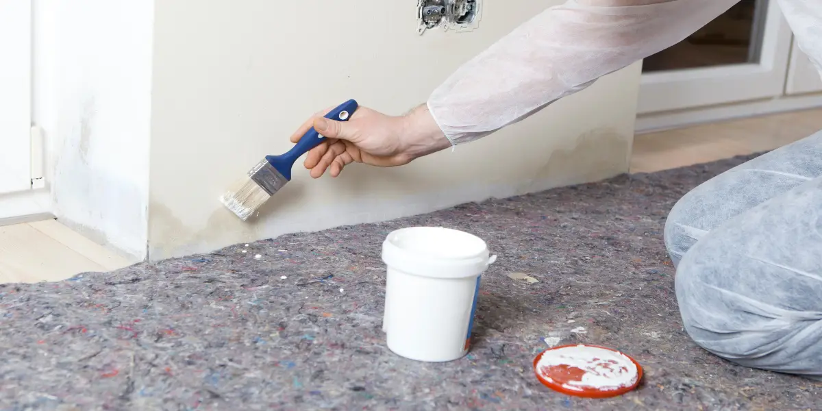 apply damp-proof paint