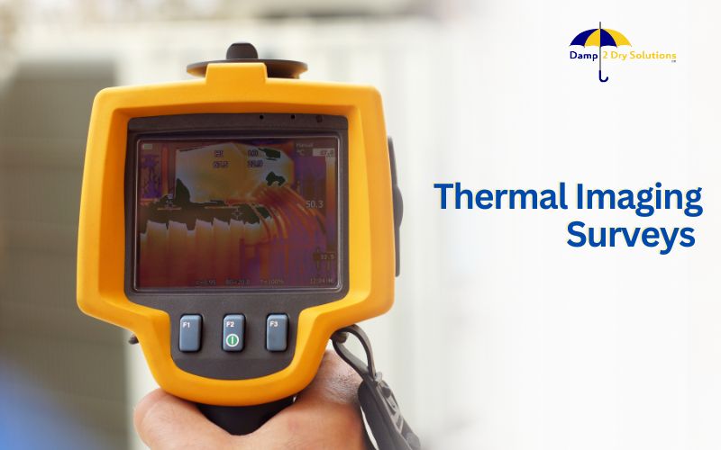 Thermal Imaging Surveys 