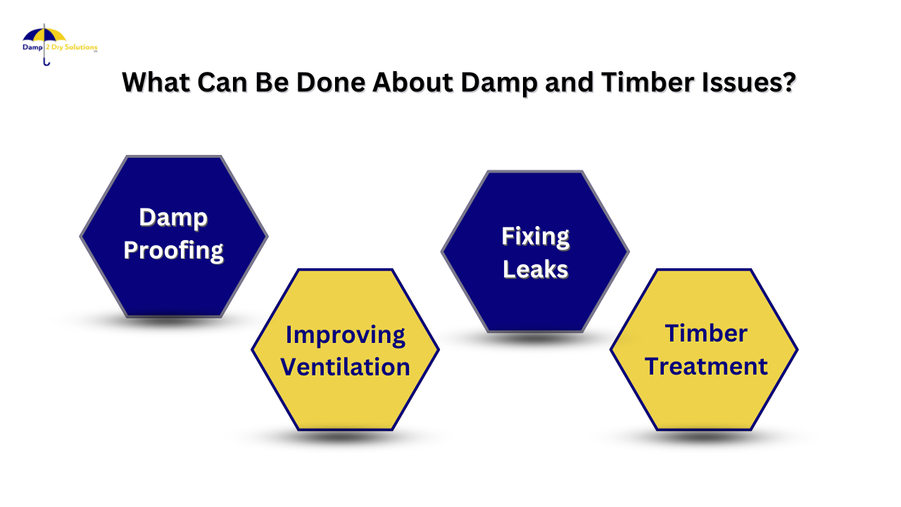 what can be done about damp and timber issues