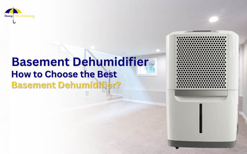 How to Choose the Best Basement Dehumidifier?