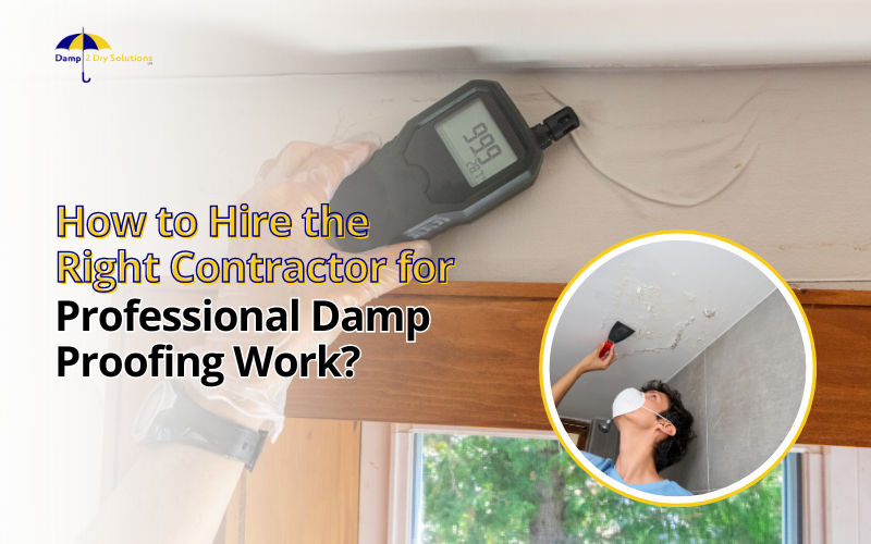 how-to-hire-the-right-contractor-for-professional-damp-proofing-work