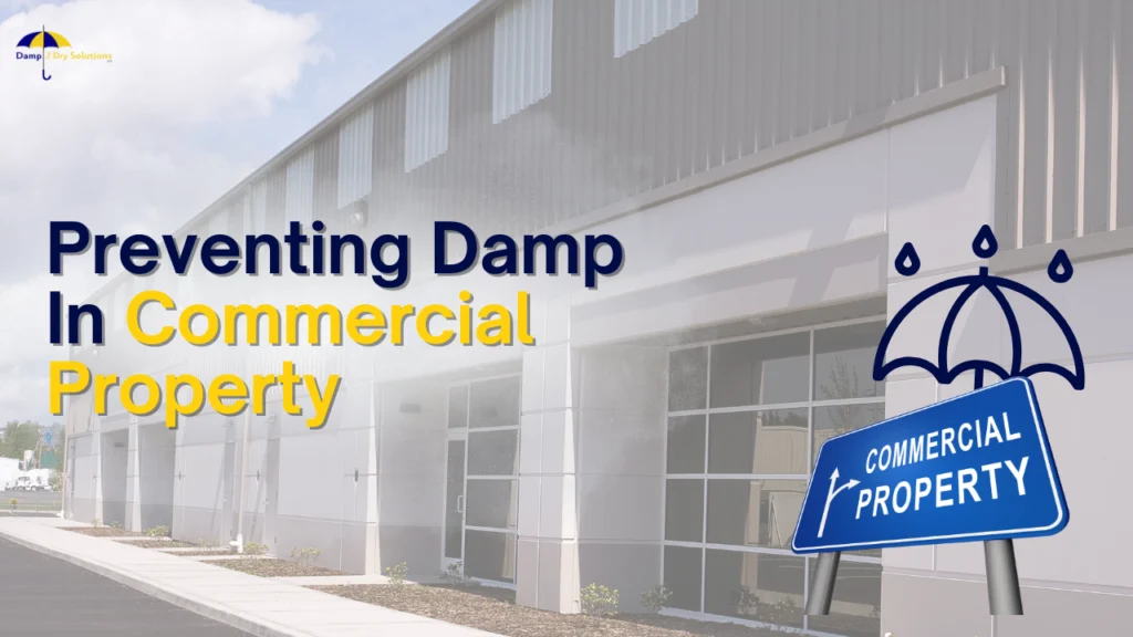 prevent damp in a commercial property