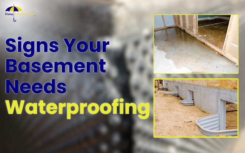 Signs Your Basement Needs Waterproofing